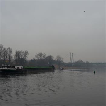 Galerie #38