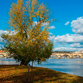 Autumn on the Vltava River
