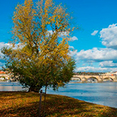 Autumn on the Vltava River