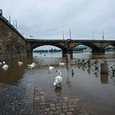 Video - Cleaning of the Novotný Footbridge Bridge after the Floods in 2013